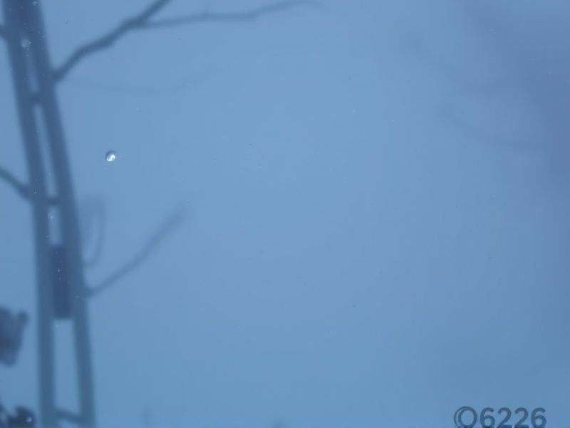 quina 6526 resultado de hoje