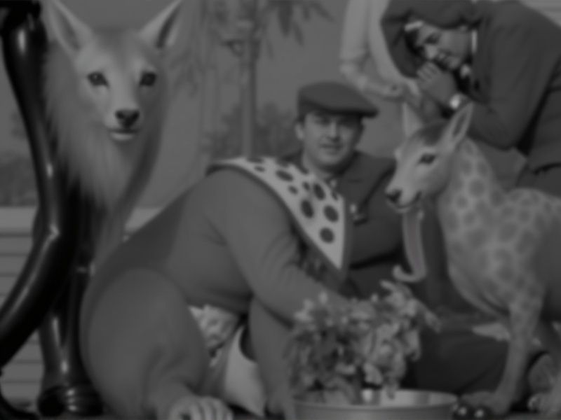 roleta de nome aleatorios